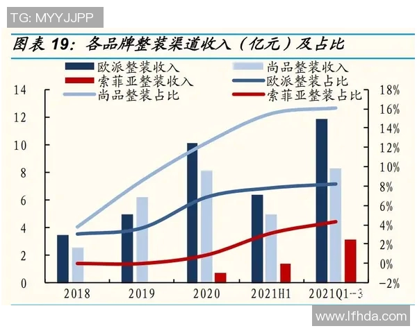 武汉排球队个人能力分析与战术配合的深度探讨